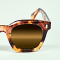 l.Dark Brown Mineral Polarised Lenses (SAXO-LTD17)